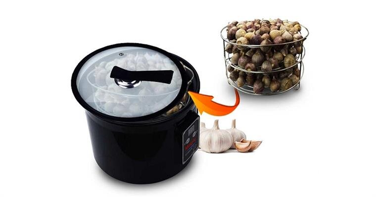 Máy làm tỏi đen  Magic 140W A-69