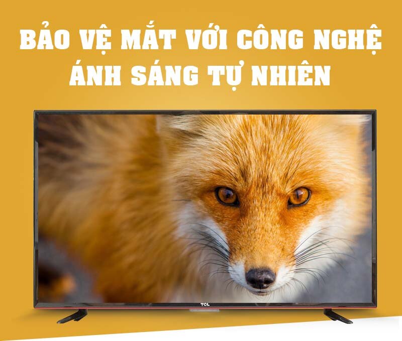 Tivi TCL 50 inch L50D2700D Tivi TCL 50 inch L50D2700D