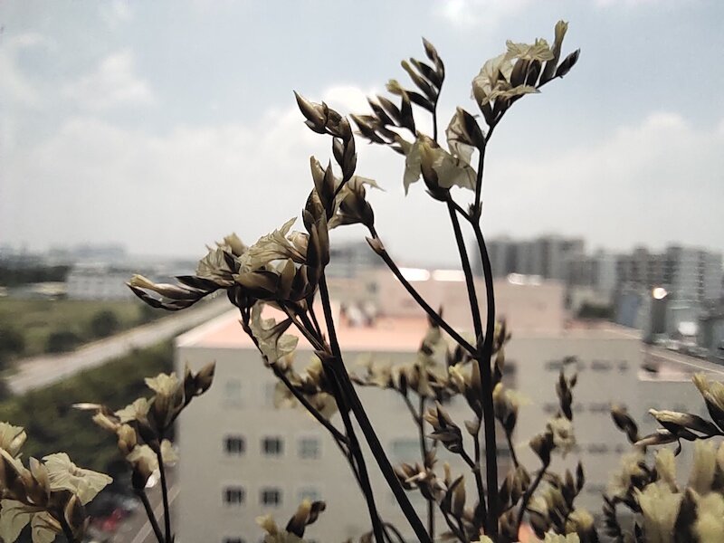 Điện thoại Vivo V17 Pro - 8GB RAM, 128GB, 6.44 inch