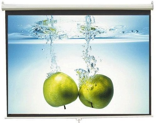 Màn chiếu treo tường Dalite P50WS (1m25 x 1m25)