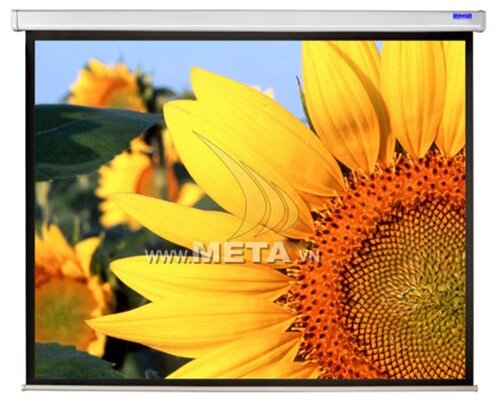 Màn chiếu treo 70