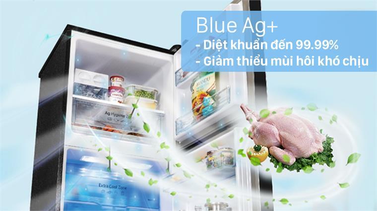 Tủ lạnh Panasonic Inverter 366 lít NR-TL381BPKV 2 yH5BAEAAAAALAAAAAABAAEAAAIBRAA7