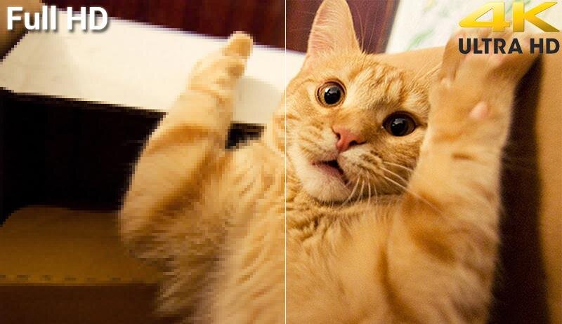 Smart Tivi LG 4K Active HDR 50UK6540PTD 50 inch, ThinQ AI