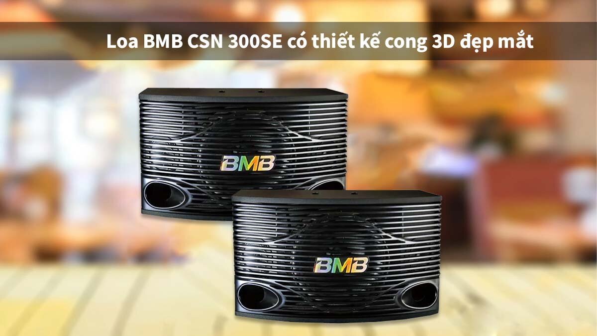 Loa BMB CSN 300 SE sở hữu diện mạo đẹp mắt, thu hút ánh nhìn