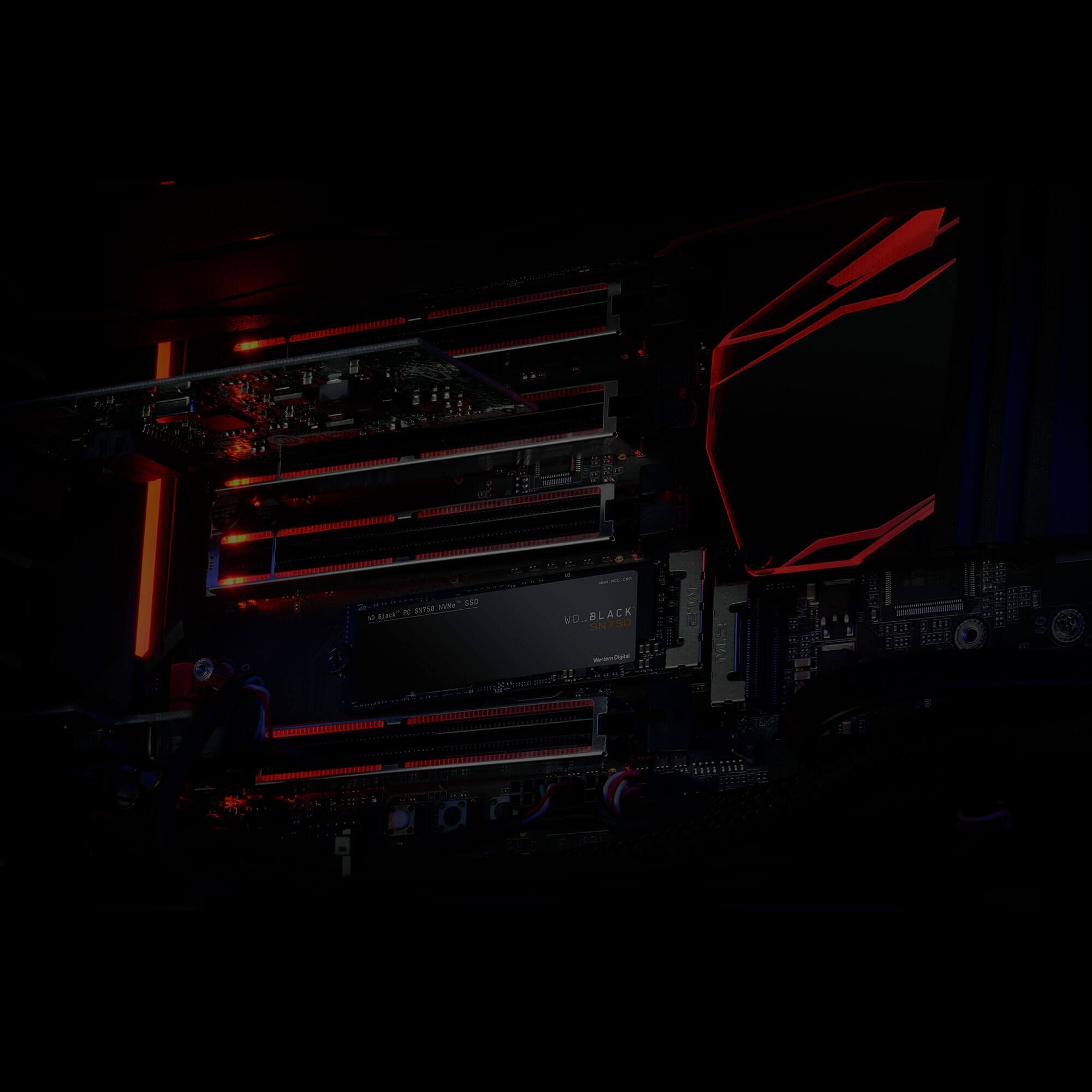 Ổ cứng SSD WD Black 1TB M.2 2280 NVMe PCIe (WDS100T3X0C)_1