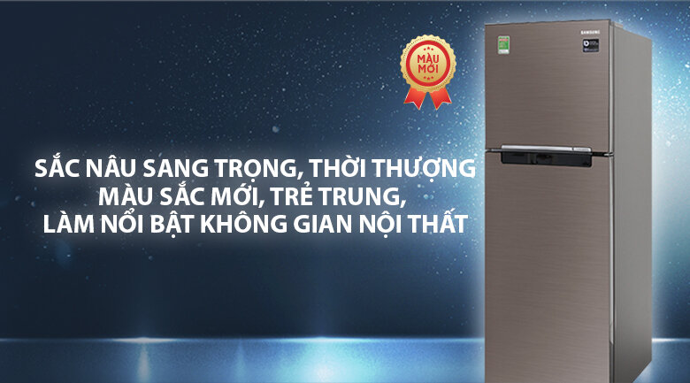 Tủ lạnh Samsung Inverter 236 lít RT22M4040DX/SV