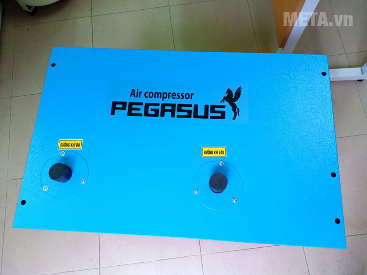 Máy sấy khí Pegasus TMMSK-15
