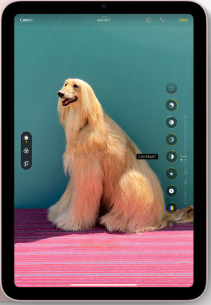 Máy tính bảng Apple IPad mini 6 Cellular (64Gb/ Space Gray/ MK893ZA/A)