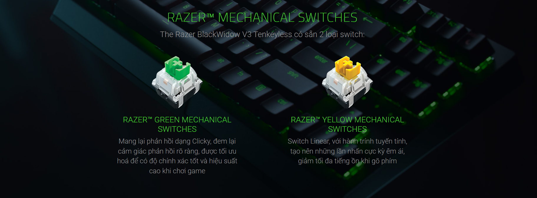 Bàn phím cơ Razer Blackwidow V3 Tenkeyless Yellow Switch (USB/RGB/Đen) (RZ03-03491800-R3M1) 2