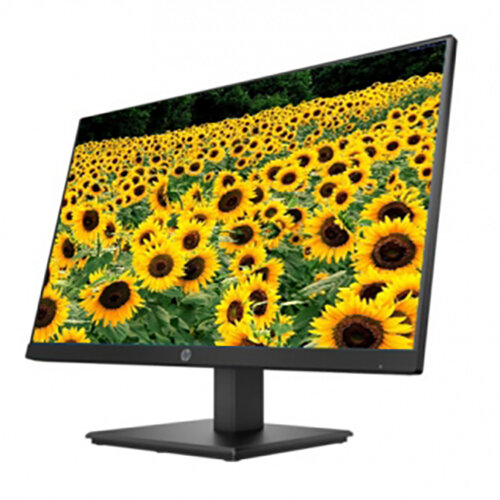 Màn hình HP P244 23.8Inch IPS 5QG35AA Màn hình HP P244 23.8Inch IPS 5QG35AA
