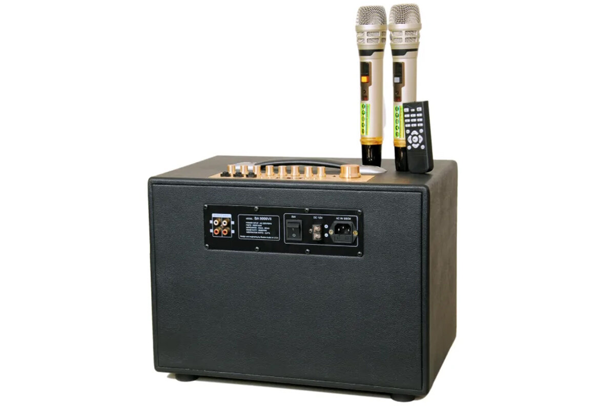 Hệ thống cổng kết nối và cổng nguồn được trang bị ở mặt trên và mặt sau của loa Boston Audio BA 9999 VII