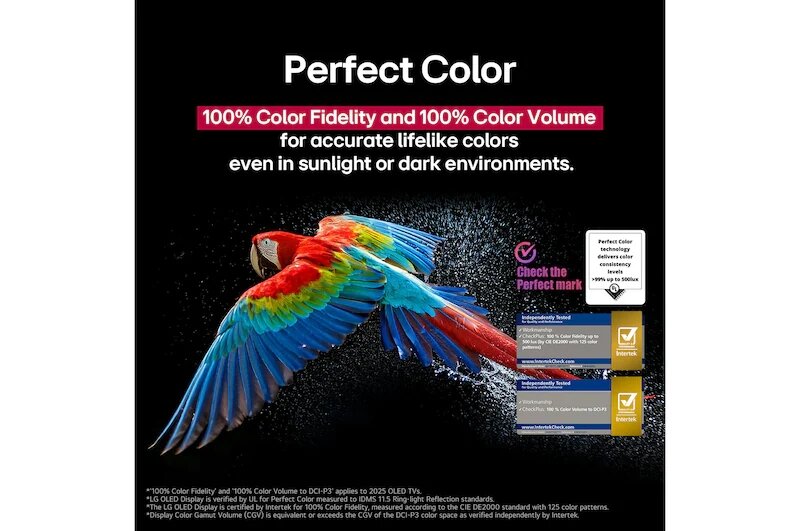 Smart Tivi LG OLED evo AI 4K 55 Inch OLED55C5PSA