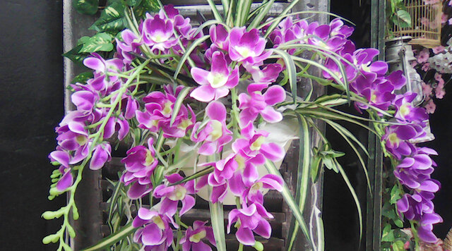 Điện thoại Mobiistar Lai Z1 Điện thoại Mobiistar Lai Z1