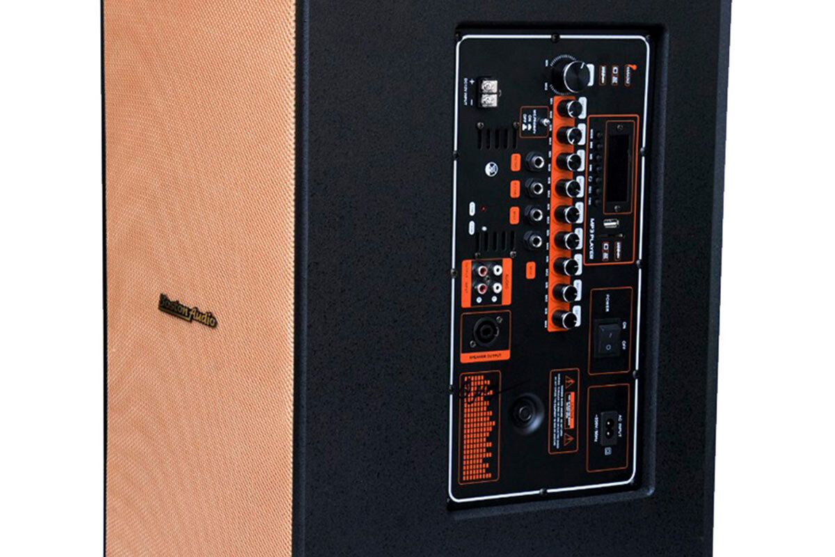 Các cổng kết nối được đặt cùng các nút chức năng trên loa Boston Audio BA 2000 VII