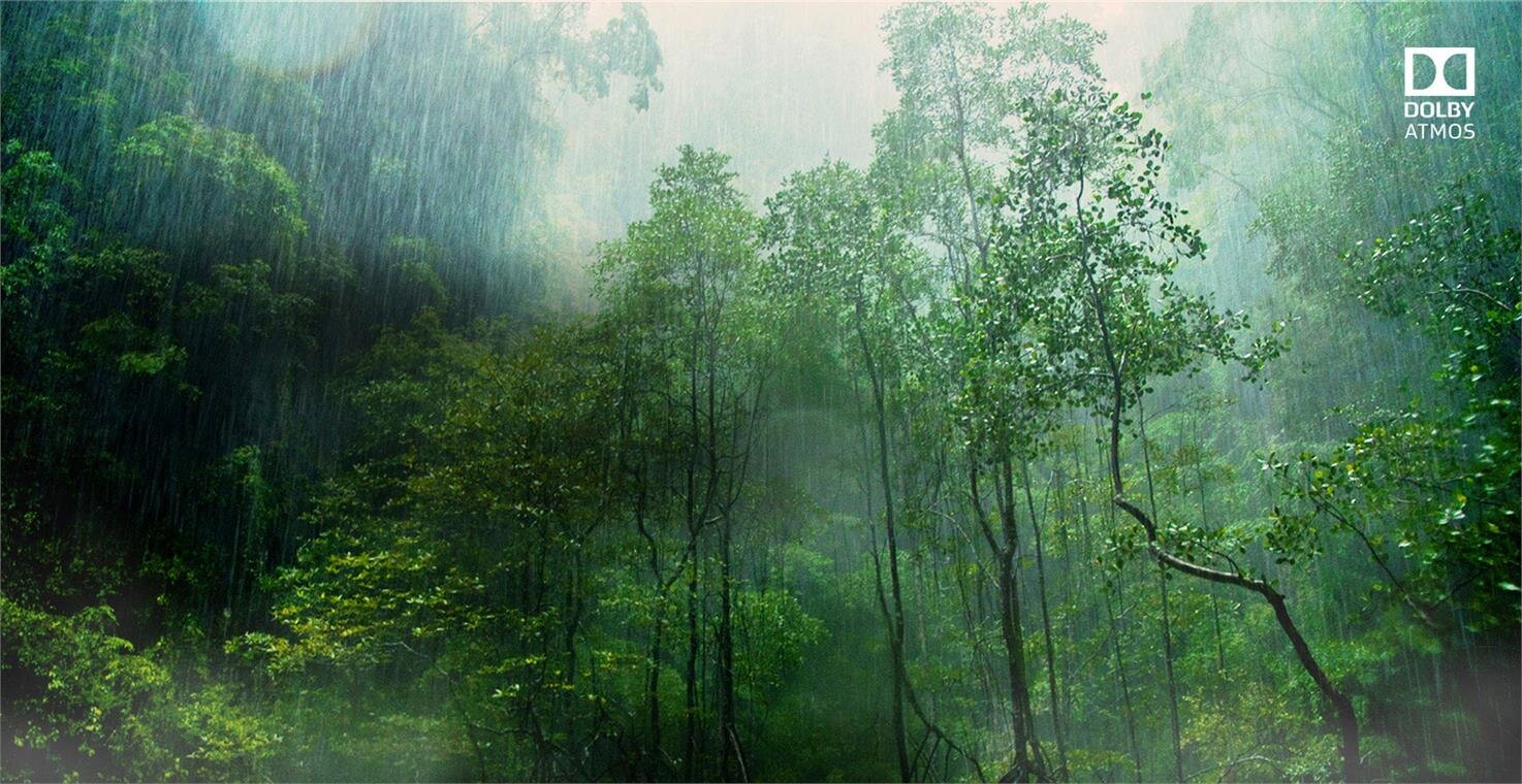 Smart Tivi 4K LG 65 inch 65SK9500PTA, Nanocell Cinema HDR, ThinQ AI