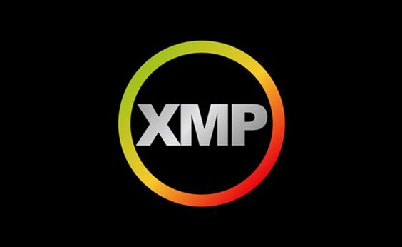 RAM TeamGroup T-Force Vulcan Z 16GB (Ảnh 5)