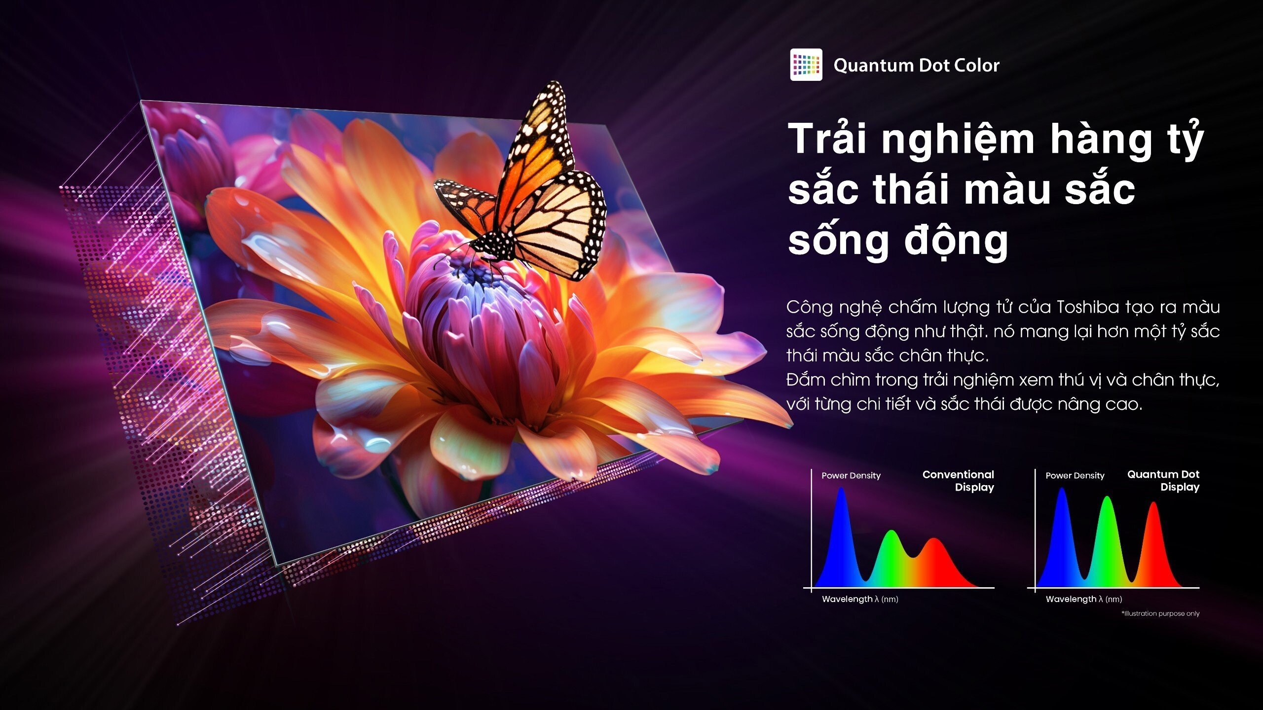 Quantum Dot Color giúp màu sắc của 55M450NP sống động hơn Smart TV Toshiba 55M450NP