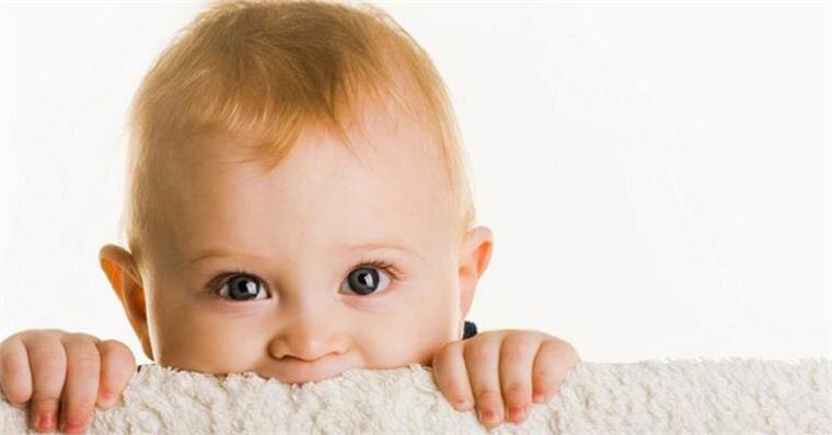 Bếp từ đôi Steiger STG-IDK200 4800W