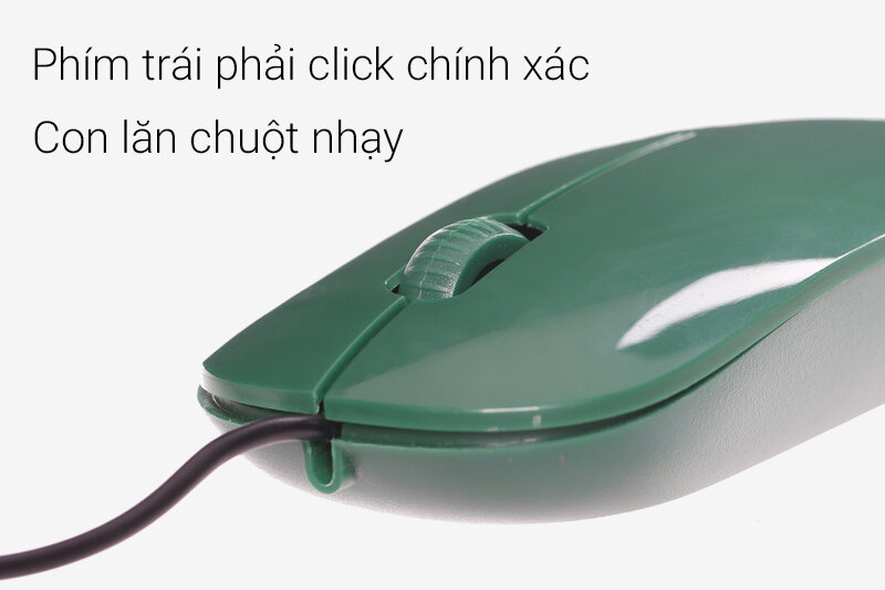 Chuột c Chuột c