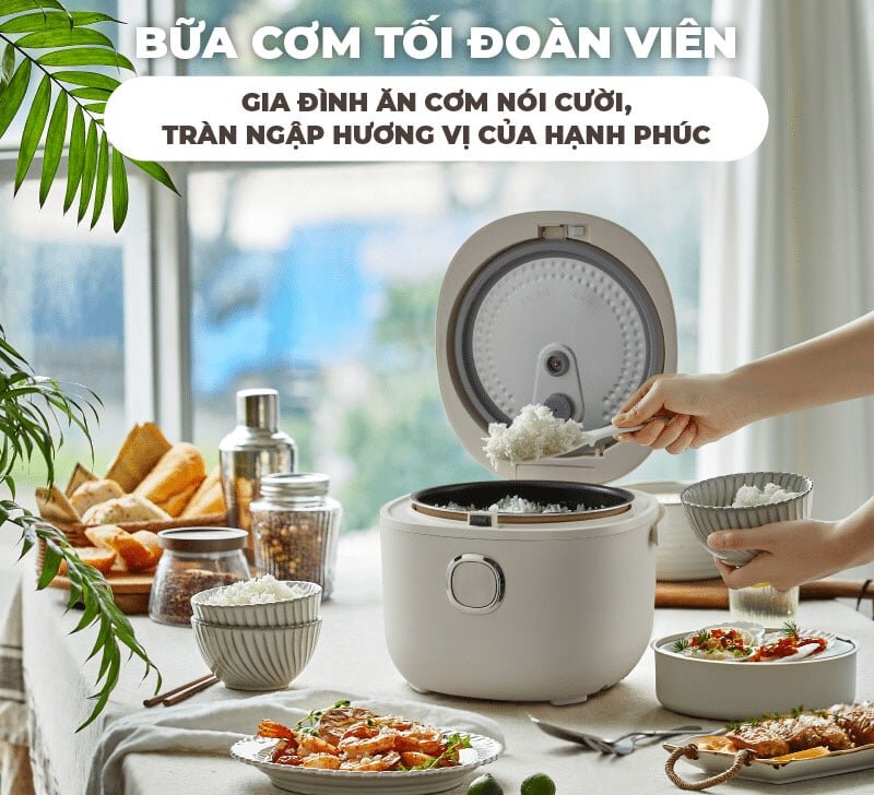 Nồi nấu cơm Bear SB-NC30A