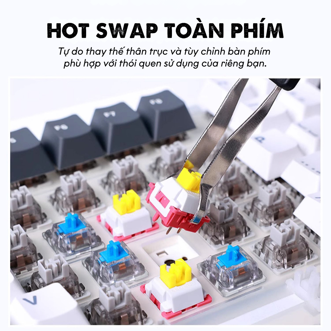 Bàn phím cơ có dây AULA F87 Tím trắng (USB, Blue switch, led RGB) 9