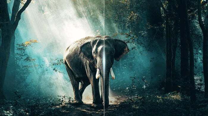 Thuật toán Ai-Contrast cho hình ảnh luôn được tối ưu Thuật toán Ai-Contrast cho hình ảnh luôn được tối ưu