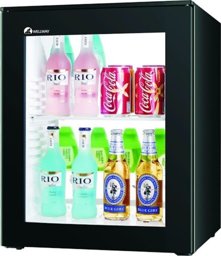 Tủ lạnh Wellway 40 lít XC-40C-S