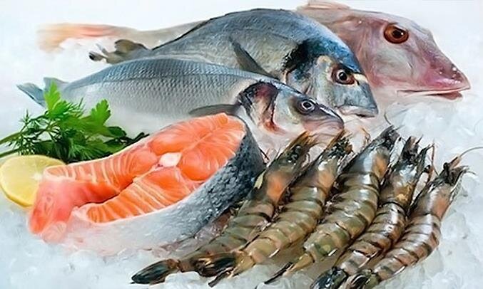 Tủ đông 280L inverter SANAKY 1 NGĂN VH 2899A3