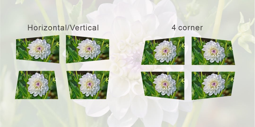 Hiệu chỉnh Keystone linh hoạt Máy chiếu Full HD Boxlight ALX422