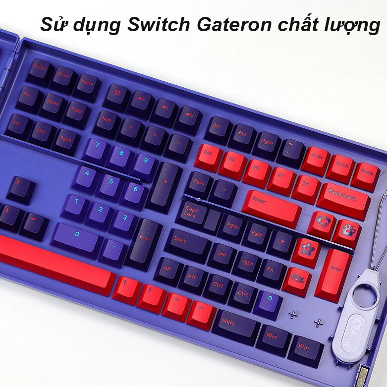 Akko 3061S Neon RGB (Gateron Pink Switch) | Bàn phím cơ Akko 3061S Neon RGB