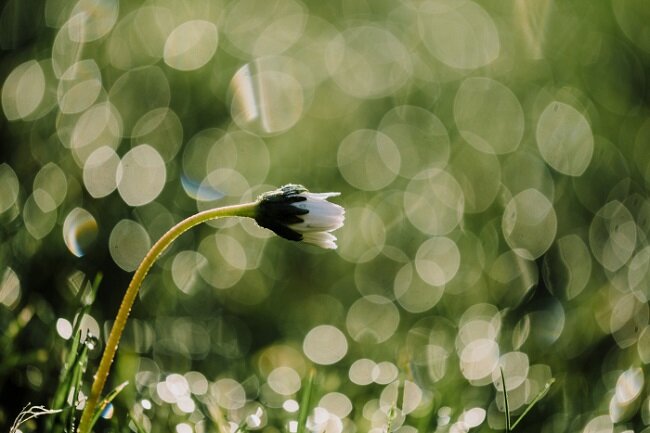 Ống Kính Fujifilm (Fujinon) XF 80MM F2.8 R LM OIS WR Macro