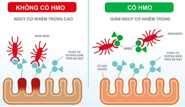 Sữa Similac số 2 là sữa gì?