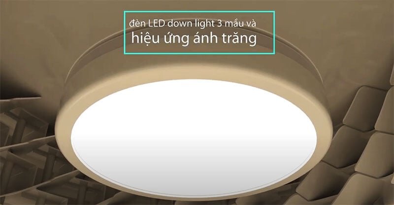 Quạt trần Benny Firenze BF-C73BLS có đèn LED chiếu sáng