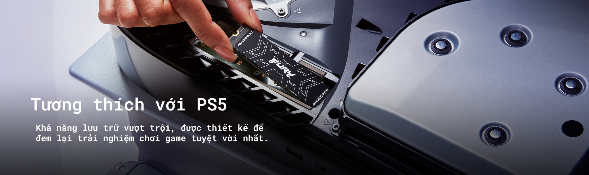 Ổ cứng SSD Kingston Fury Renegade