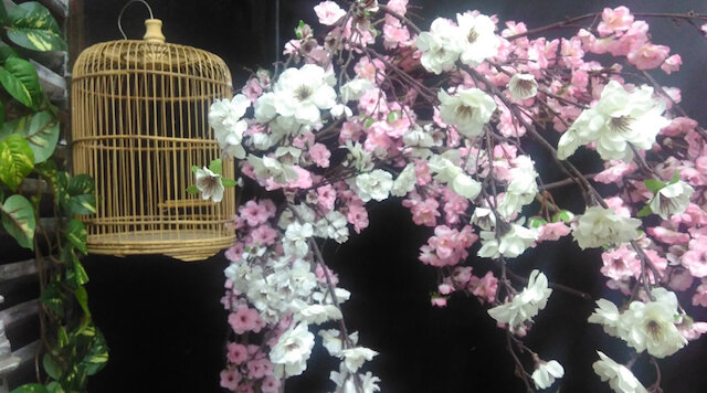 Điện thoại Lenovo A6010