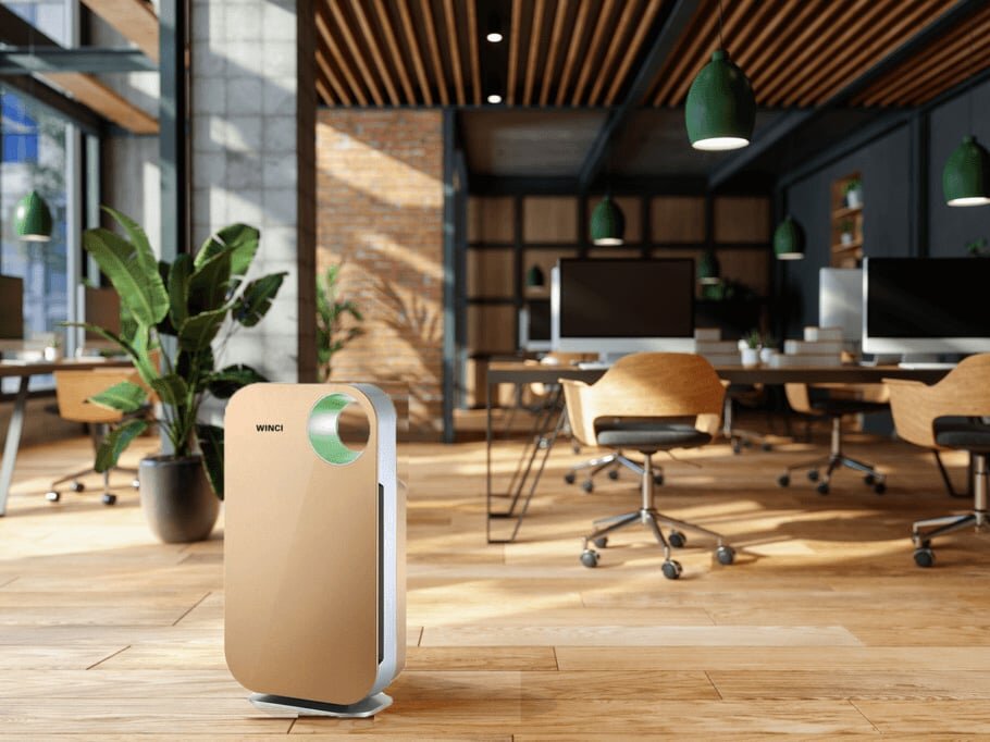 Máy lọc không khí Winci AP3001-WC