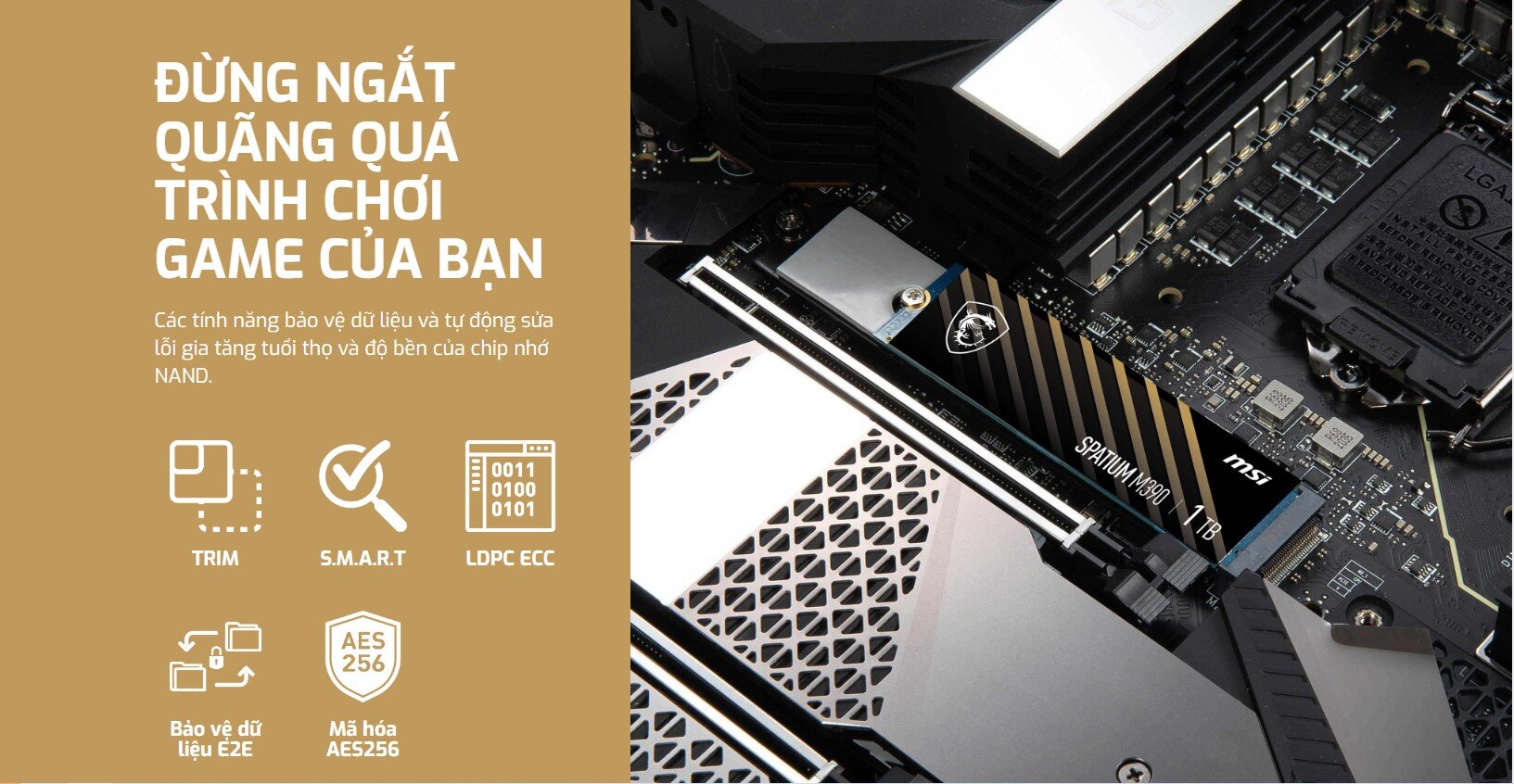 Ổ cứng SSD MSI SPATIUM M390