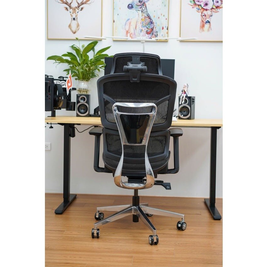 Ghế công thái học EDRA EEC223 2