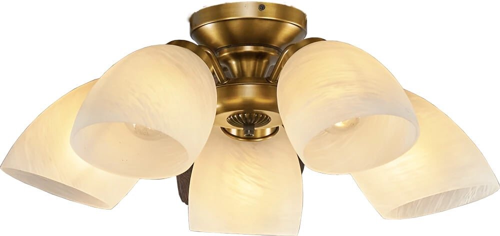 Quạt trần Mr Vũ Lotus Plus