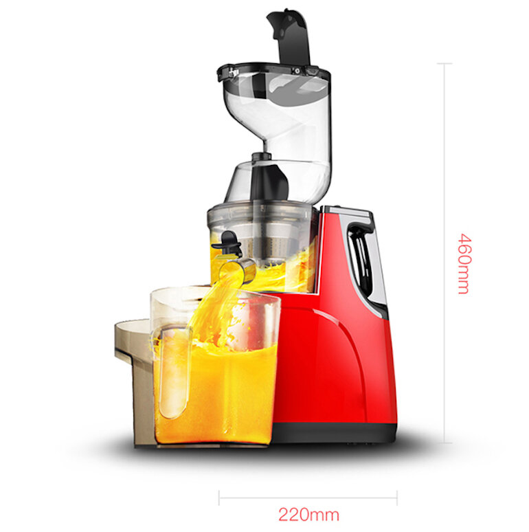 Máy ép chậm Hongxin RH-312