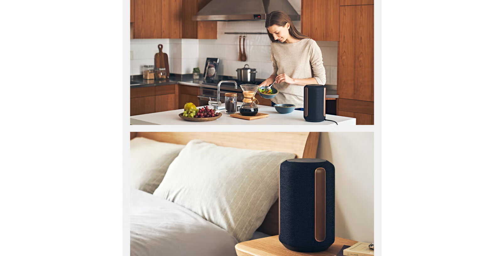 Loa không dây cao cấp Sony SRS-RA3000