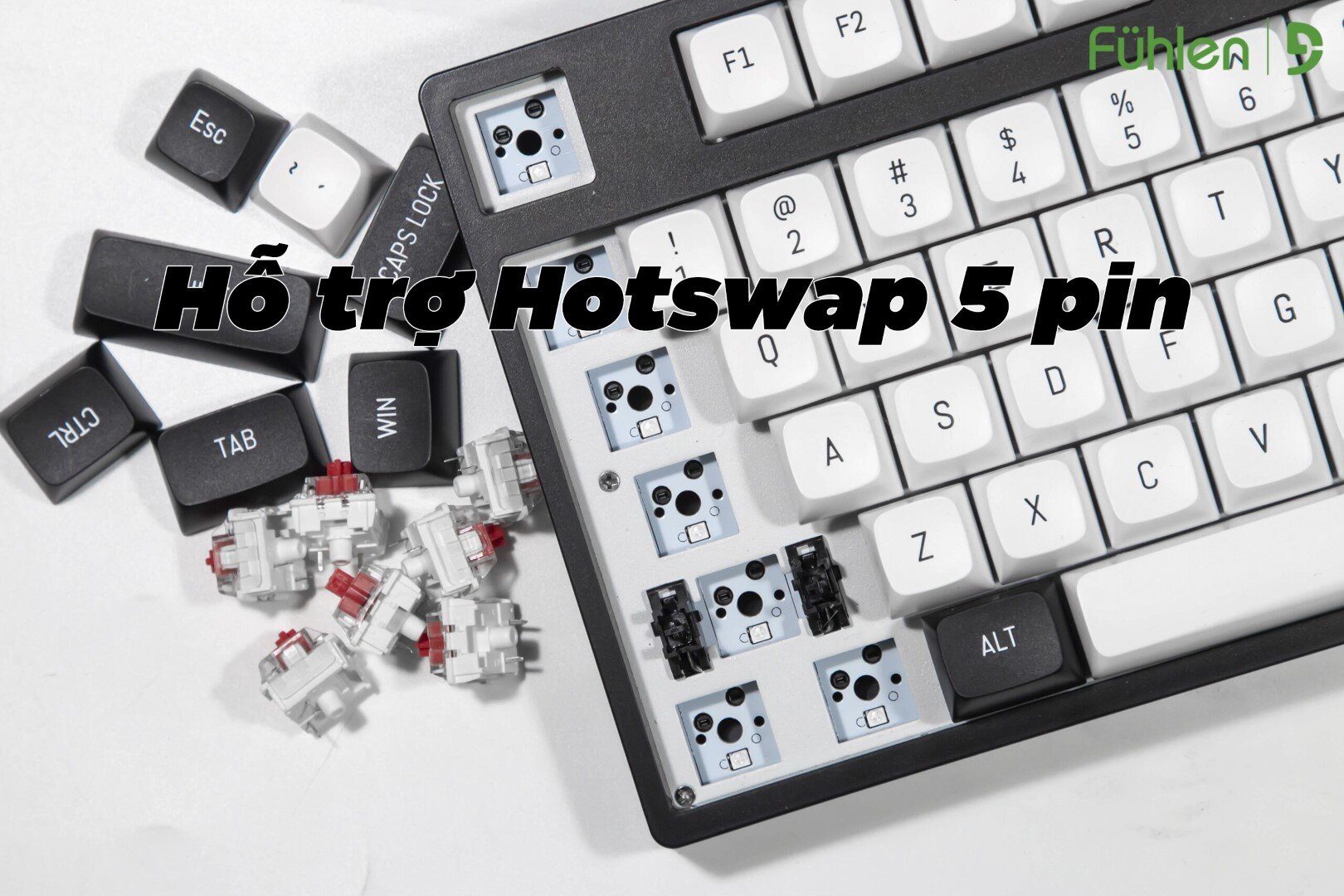Bàn phím cơ ko dây Fuhlen H108S Panda