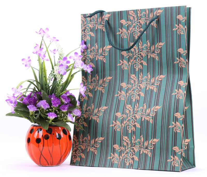 Túi giấy đựng quà lớn ( túi to )  Túi giấy đựng quà lớn ( túi to )