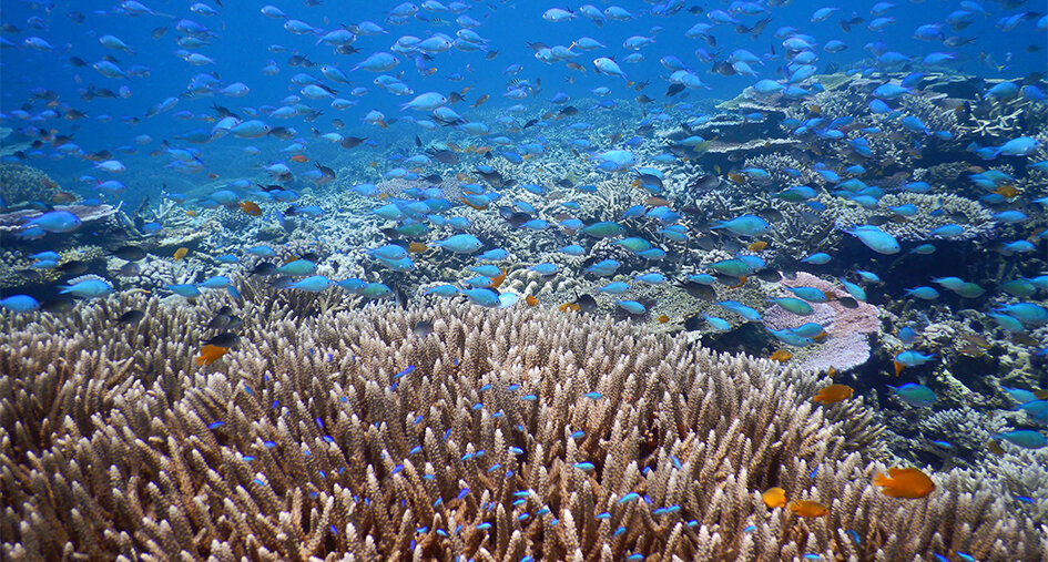 Máy Ảnh Nikon Coolpix W300 (Đen)