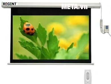Màn chiếu điều khiển từ xa Regent 96” x 96” (2m44 x 2m44) Màn chiếu điều khiển từ xa Regent 96” x 96” (2m44 x 2m44)