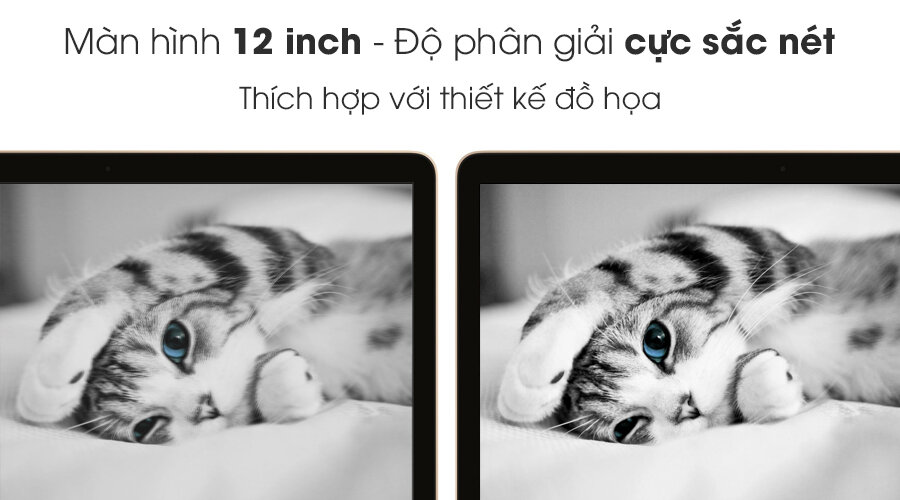 Apple Macbook 12 Apple Macbook 12