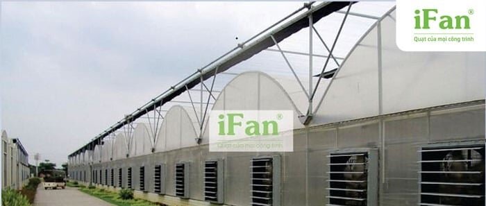 Quạt thông gió công nghiệp