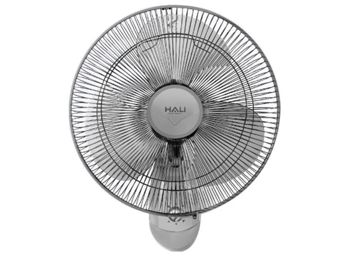 Hali TR2 dùng động cơ bạc thau Hali TR2