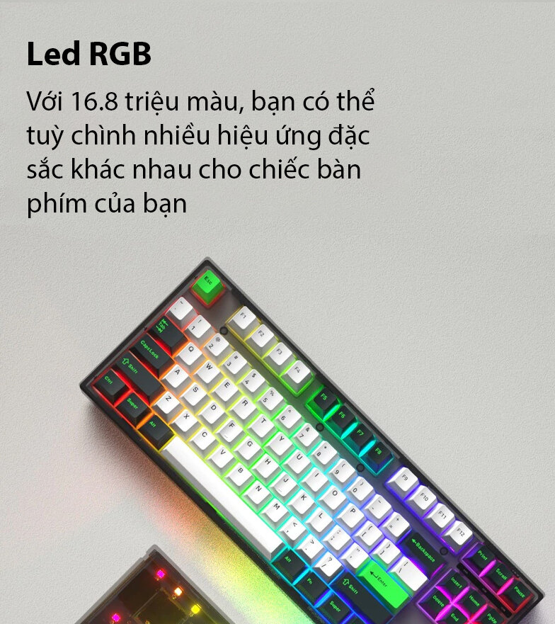 Bàn phím cơ FL-Esports GP87 CP White Green White sw (Gateron Pro) (USBC/RGB/Hotswap) 3