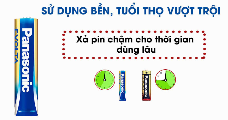 Pin AA 2 viên Panasonic Evolta LR6EG-2B-V